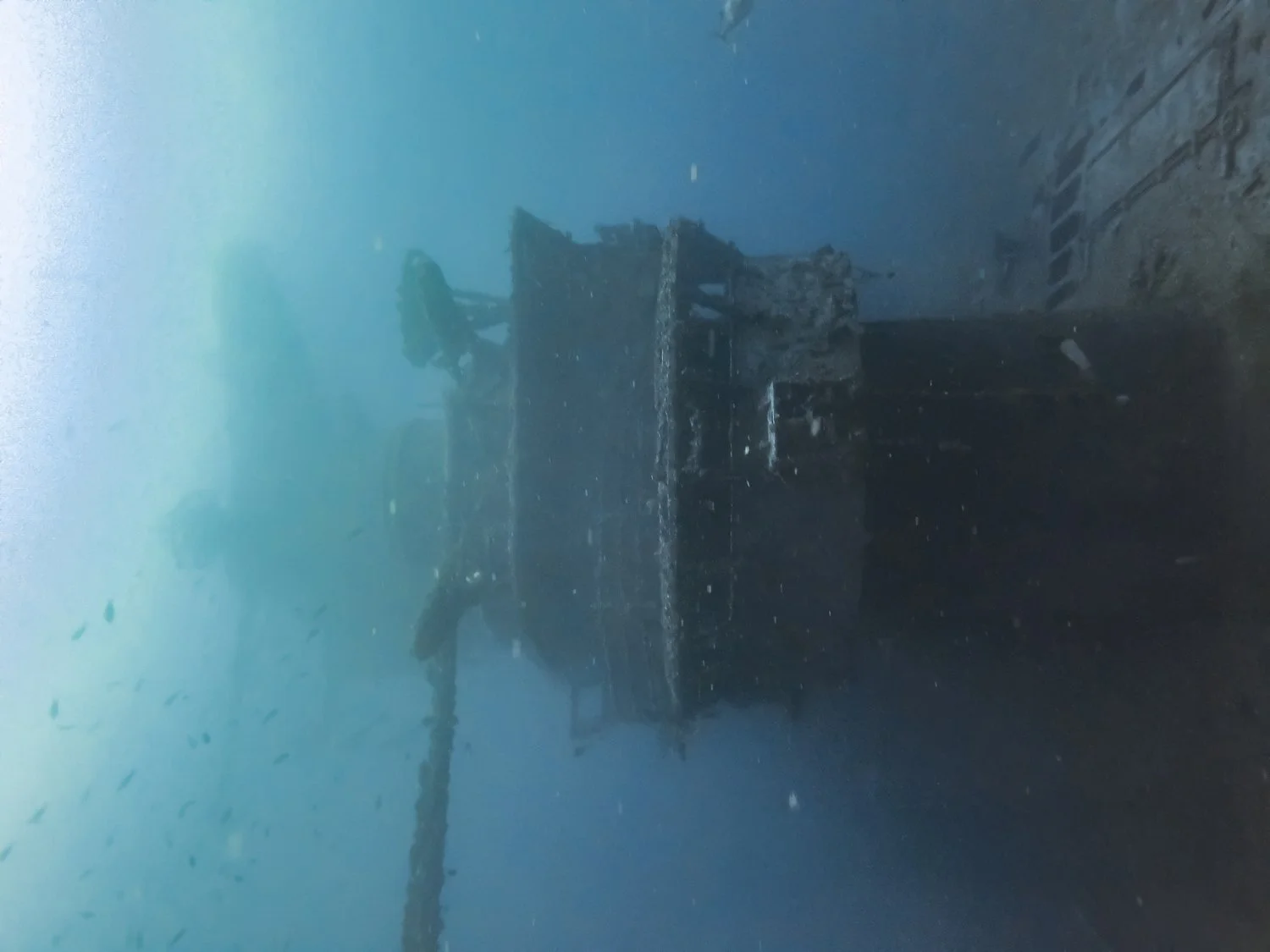 MICR0708.jpg