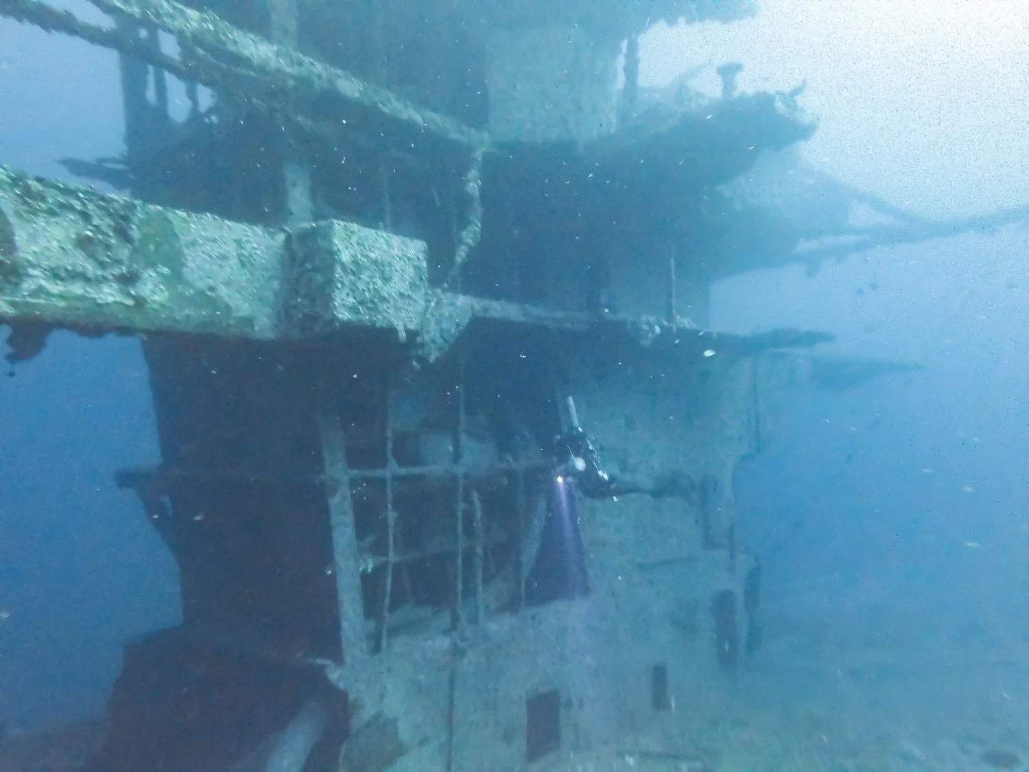 MICR0677.jpg