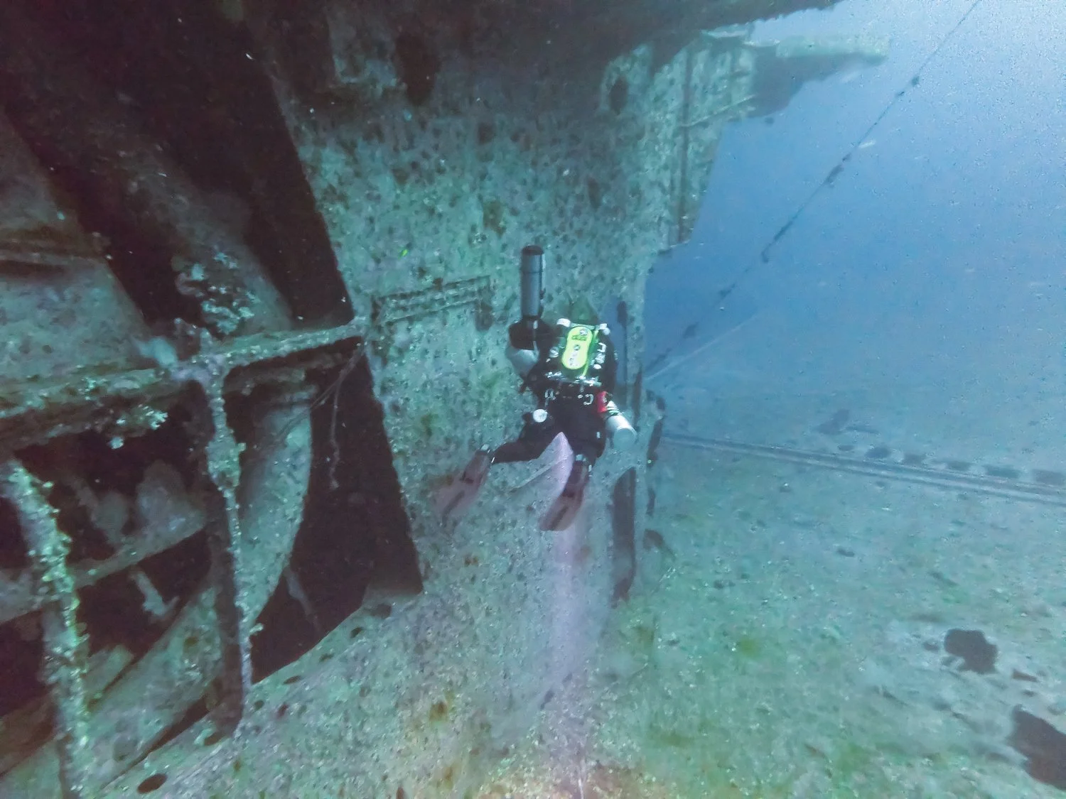 MICR0679.jpg