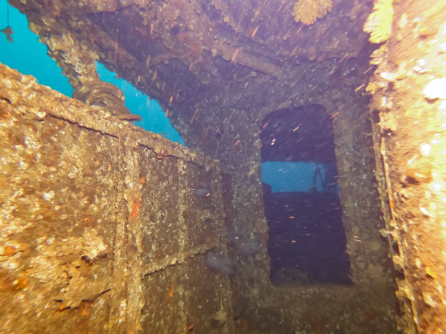 MICR0662.jpg