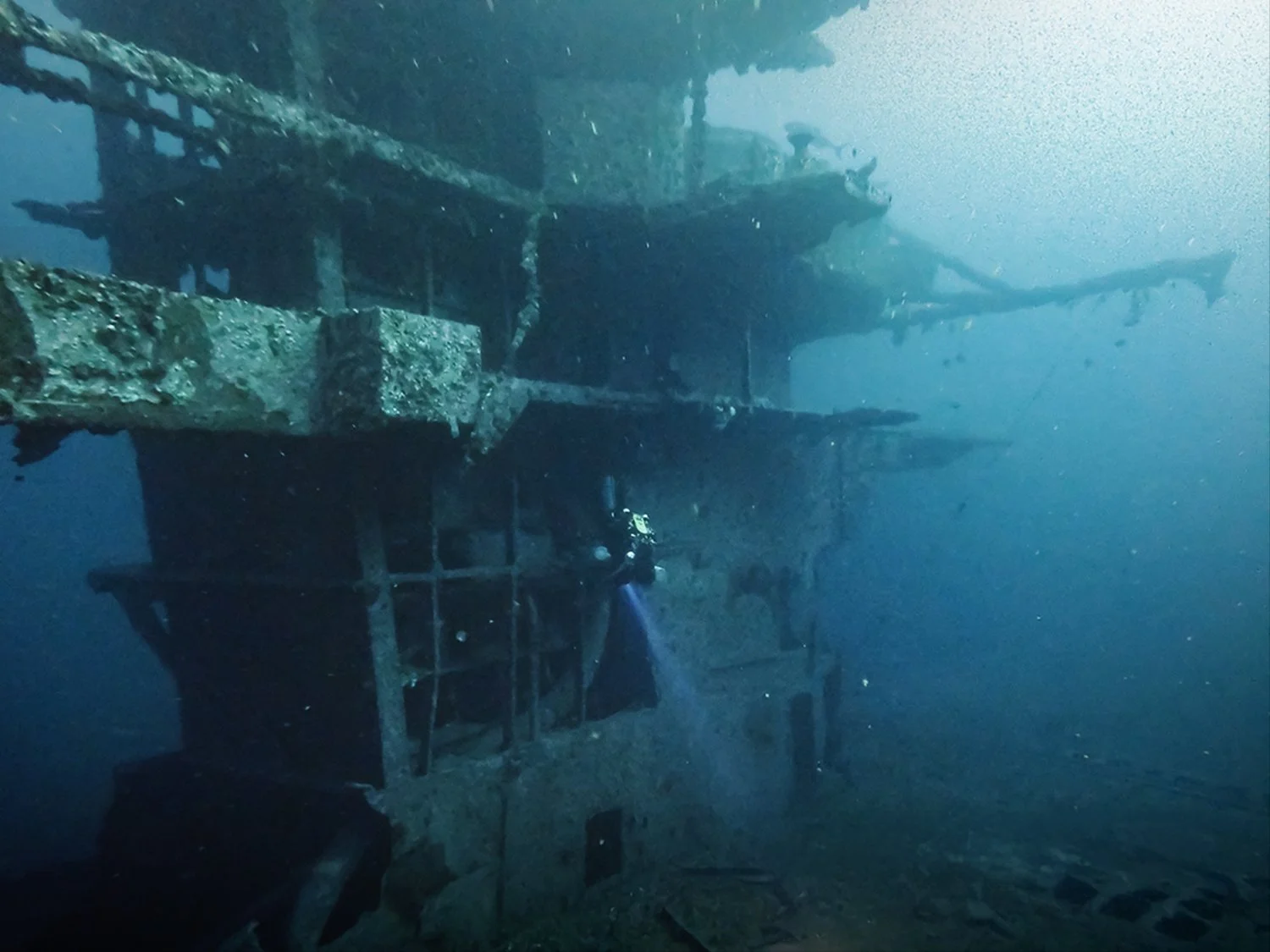 MICR0676.jpg