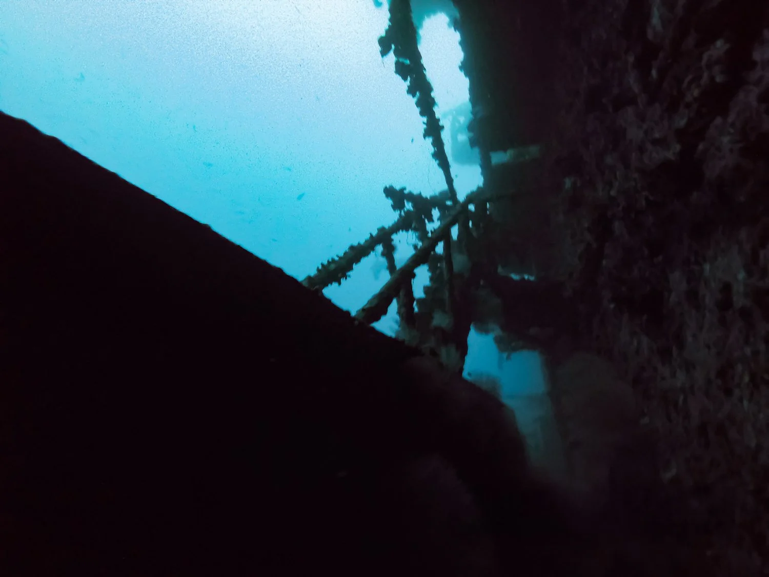 MICR0665.jpg