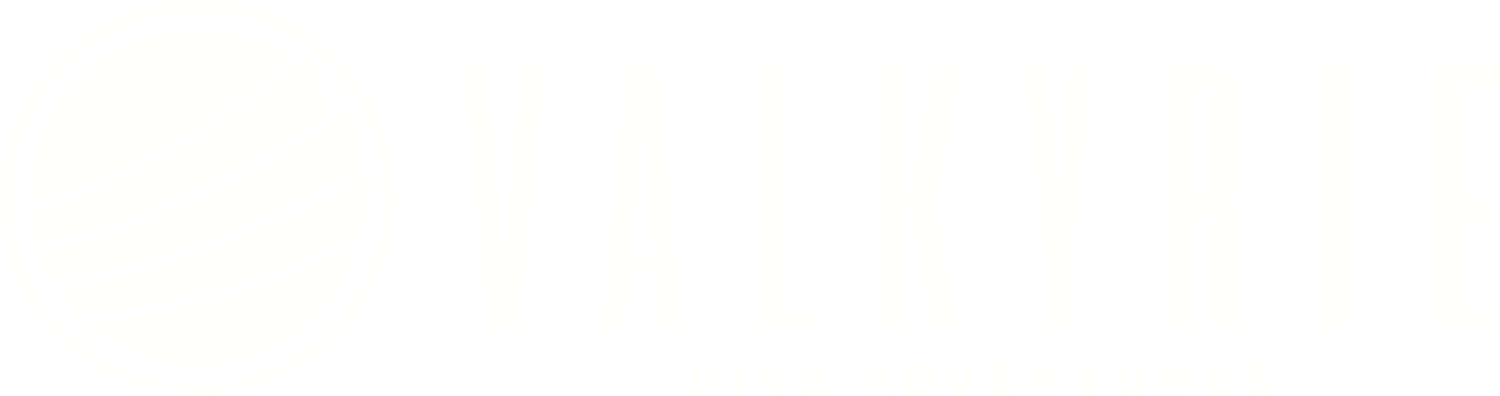Valkyrie Dive Adventures