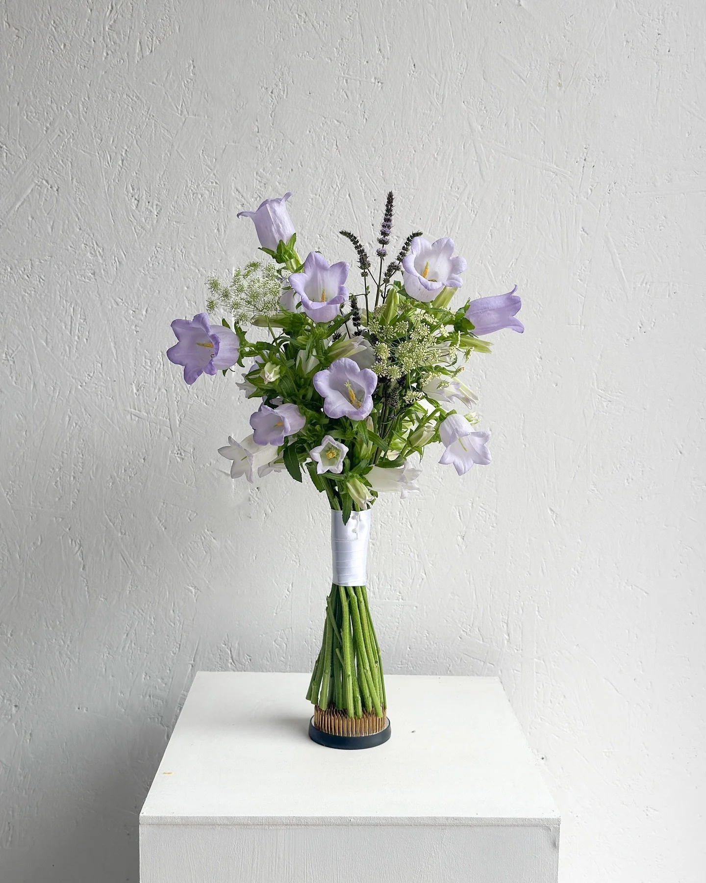 #roha_wedding 
A handful of Campanula with airy greens 💜
Cloudy day photos can feel a little wistful, but this soft lilac shade seems to shine even brighter in the grey light!