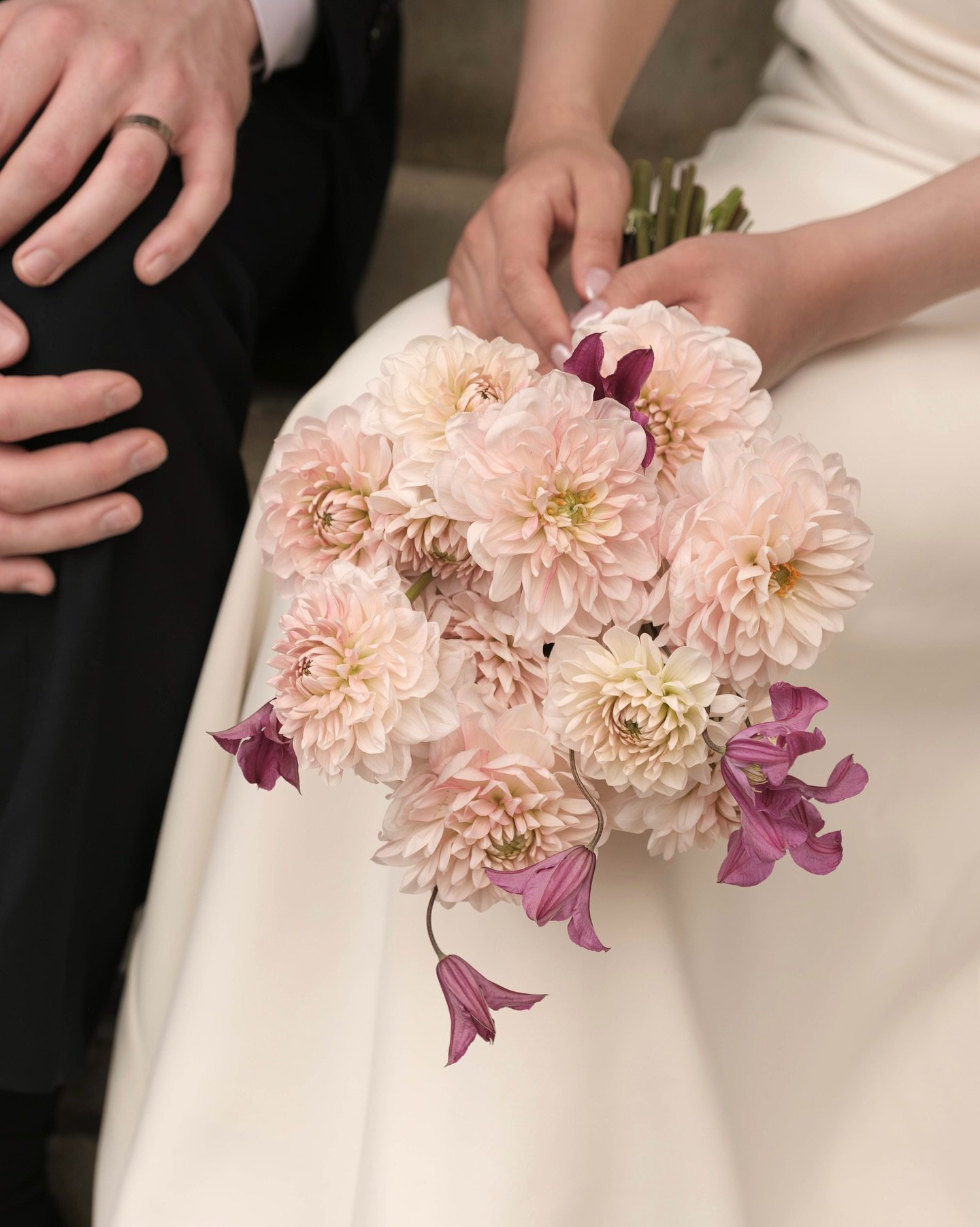 Soft blush dahlias with a touch of deep plum 💗
A bouquet that carries both warmth and quiet elegance.

we create bespoke wedding bouquets that are as unique as your day.

✉️ For wedding bouquet enquiries &amp; orders, please DM or Email

📷 @anecdot