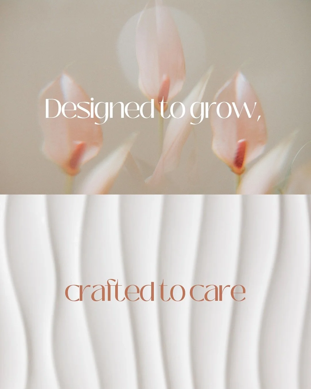 Created exclusively for @hairgainnow , a brand that celebrates confidence and growth.

Each plant was designed to reflect their story rooted in care, flourishing with purpose 🌸

Grateful to have been part of Hairgain&rsquo;s PR box project!
Thank yo