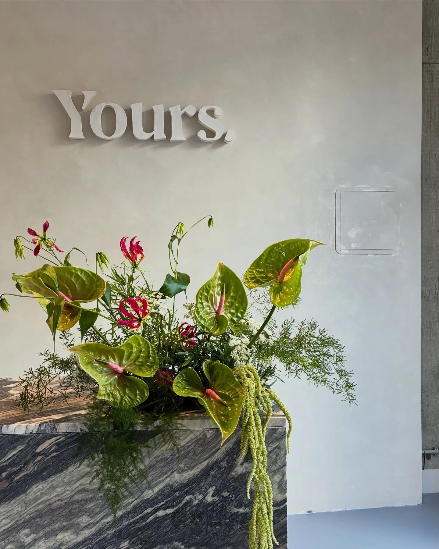 #Roha_eventdecor
Green for grounding, colour for life.
Designed for @yours.spaces yoga studio opening, where calm meets vibrant energy ❤️&zwj;🔥