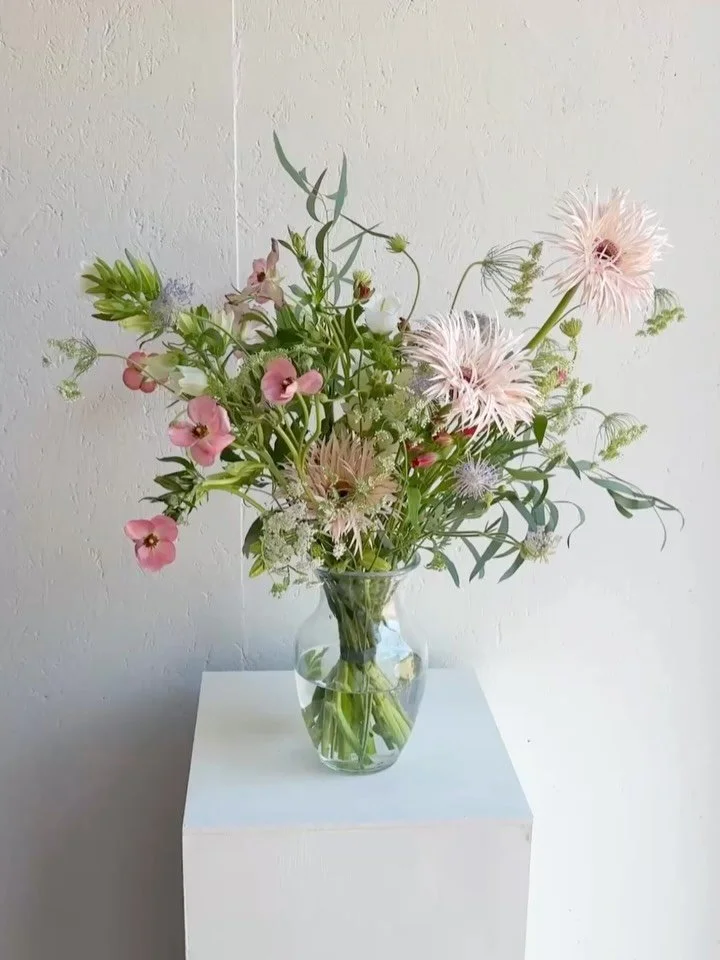 I was captivated by the way it gently danced in the wind, so I found myself staring at it for a long while 🫧