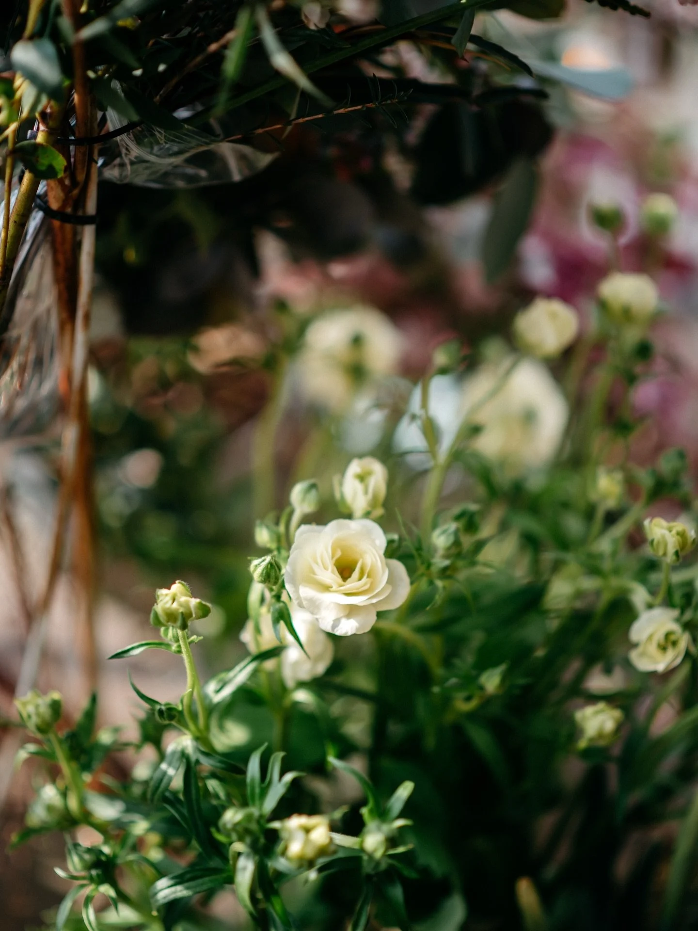 The flower market is full of spring blooms.
Just thinking about introducing with these beautiful spring flowers already makes us happy 💛

Walk-ins are always welcome, and pre-orders are also available.
If you have specific colours or flowers in mind