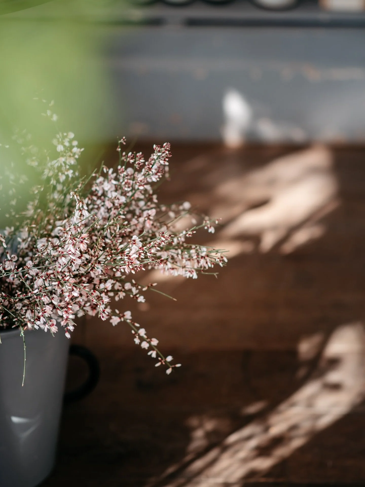 A gentle moment in the sun