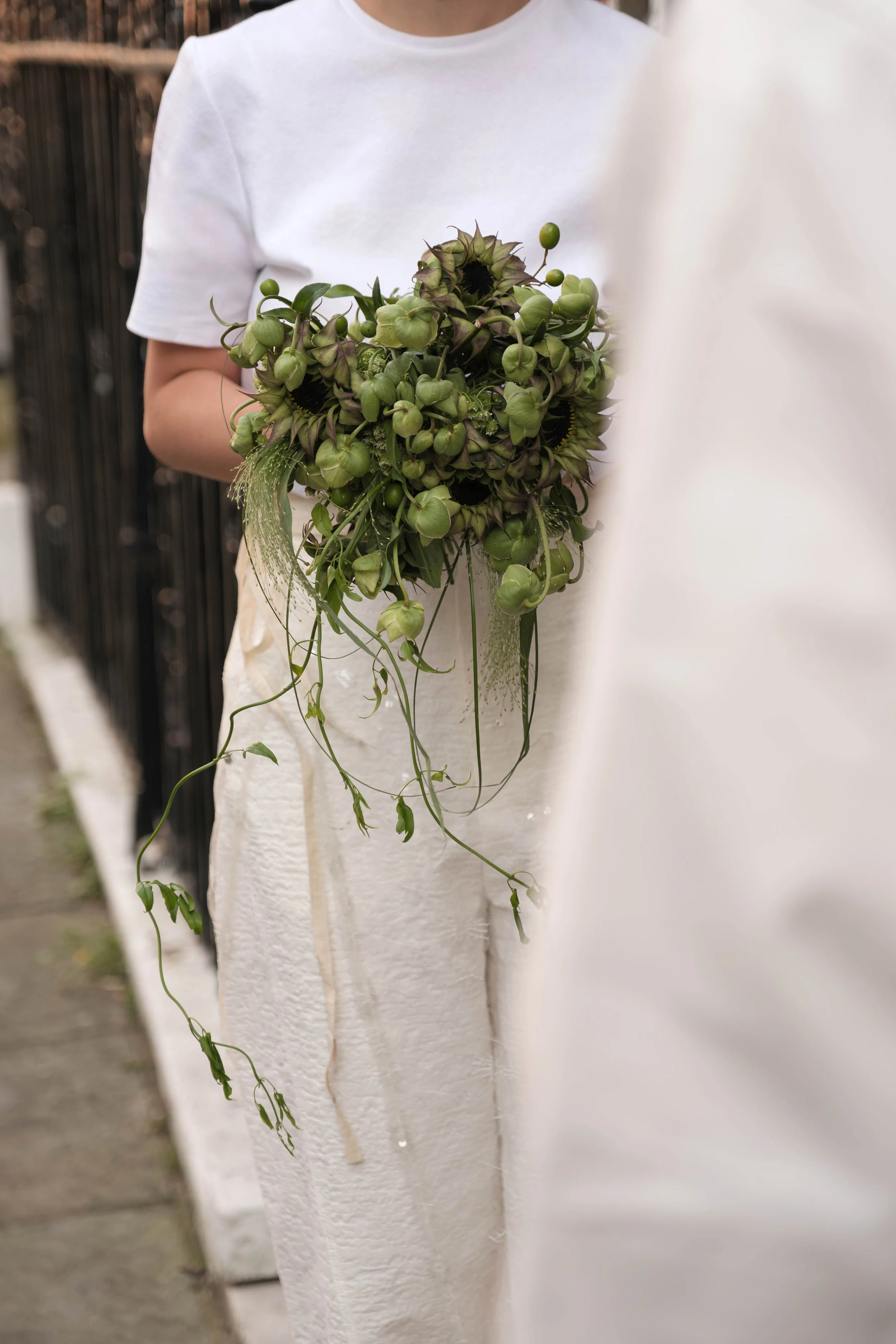 MJXX0484-Enhanced-NR copy.jpg