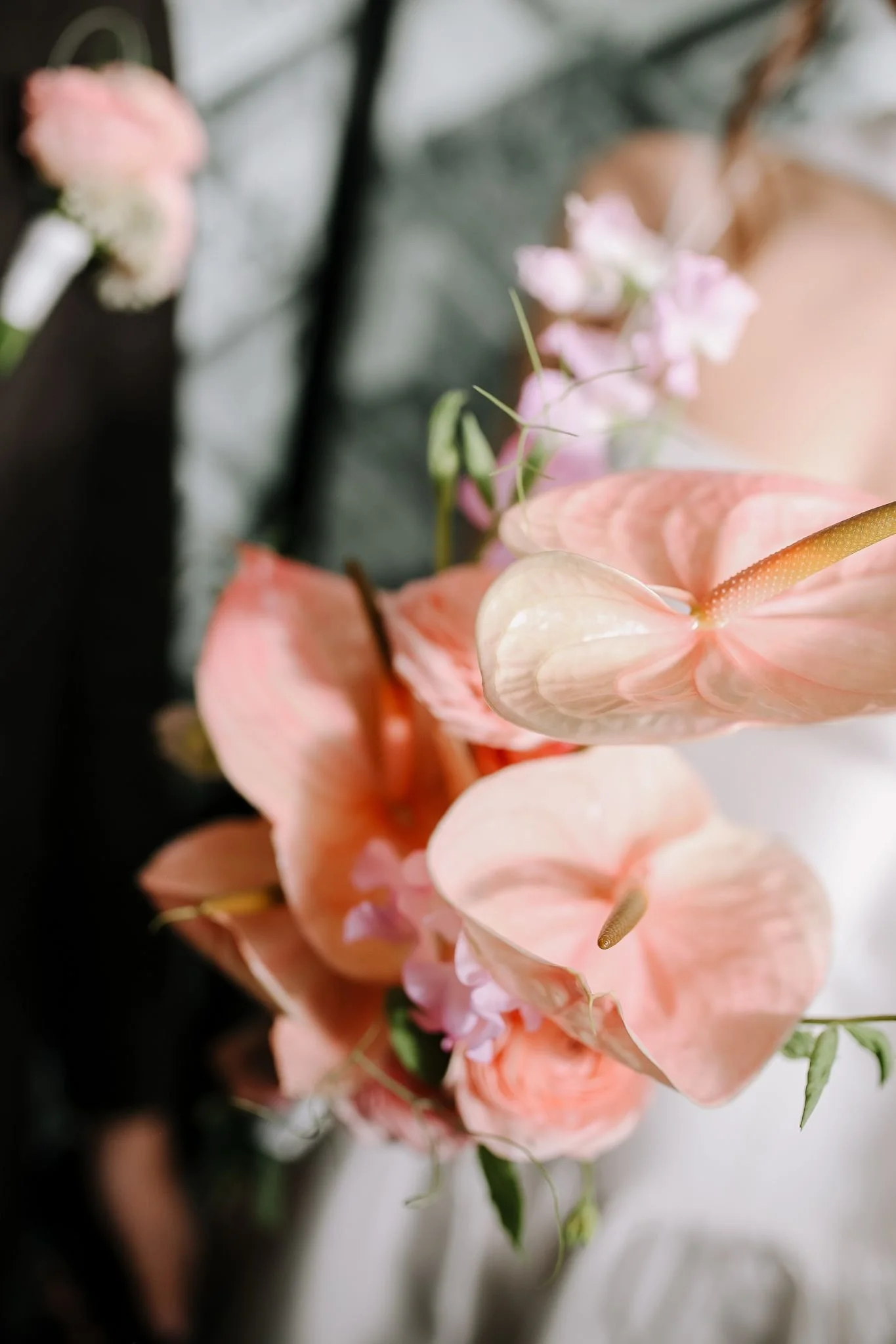 Close-up of peach-colored and pink flowers include anthuriums and orchids with green foliage in the background.