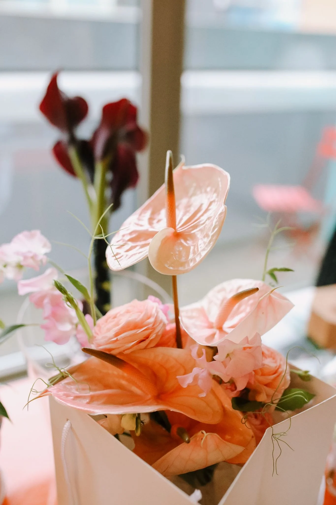 A bouquet of pink anthurium flowers in a white box.
