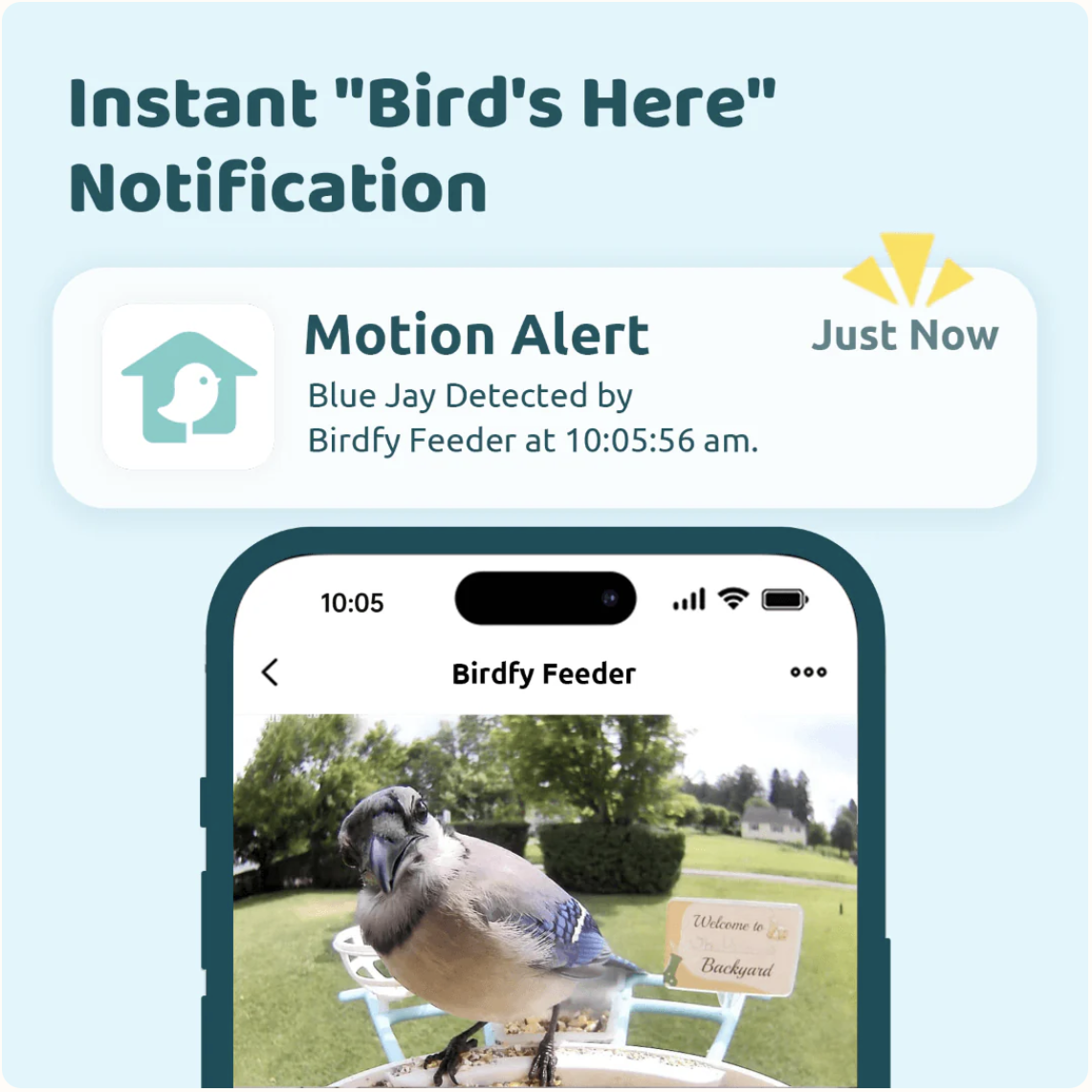 Birdfy Feeder 1 - Notification Screen.png
