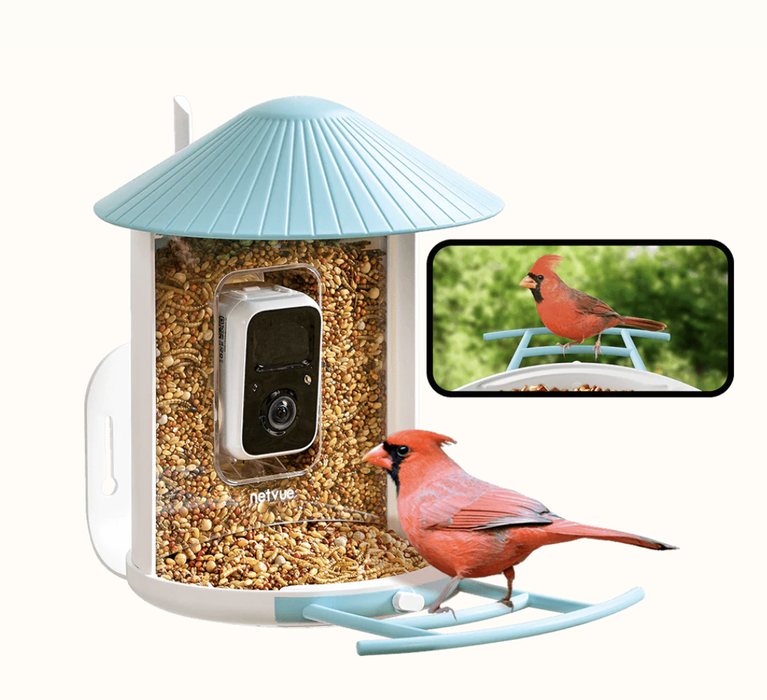 Birdfy Feeder 1 - Bird Feeder Camera.png