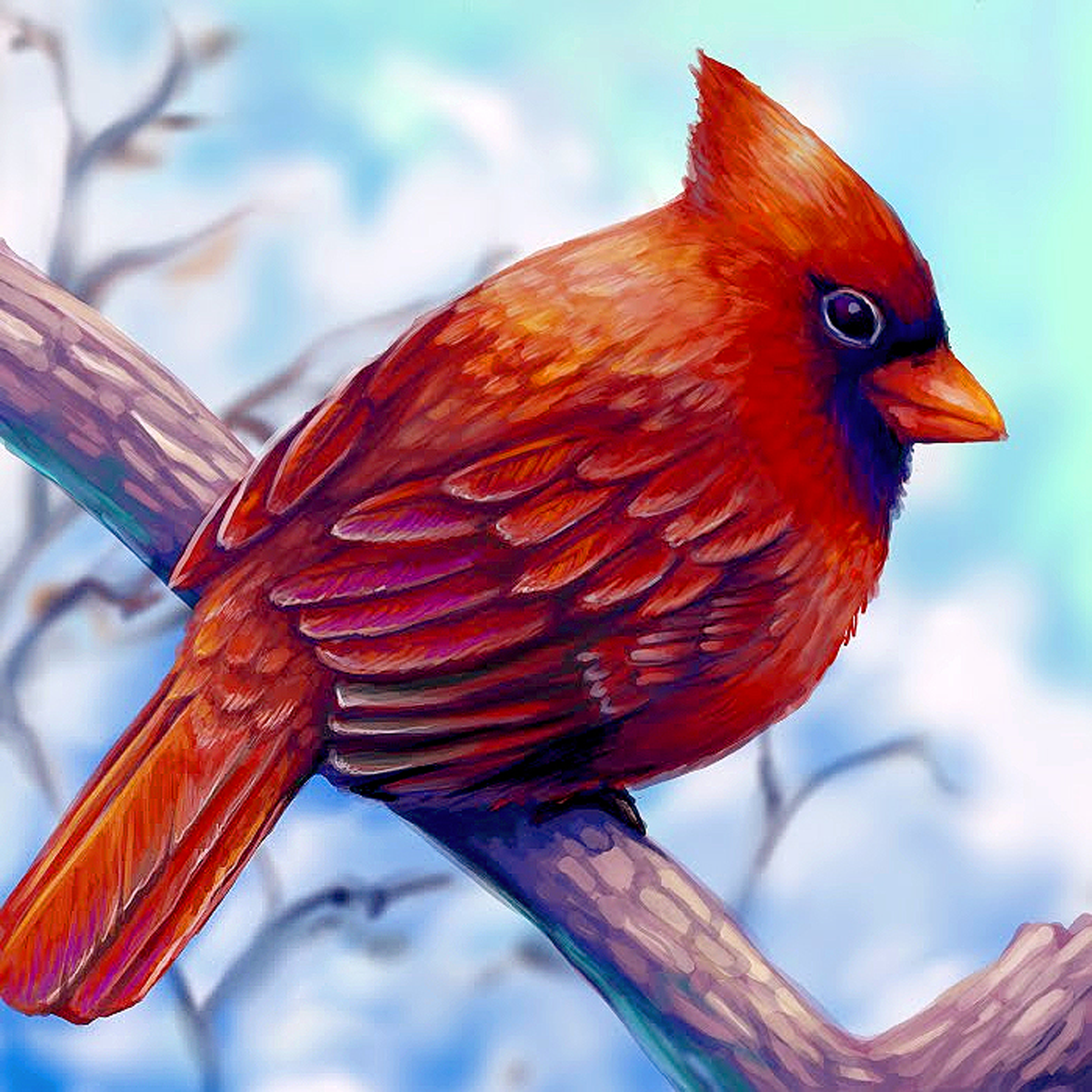 layer_paint_cardinal_art_by_Cass_Womack_2013.png