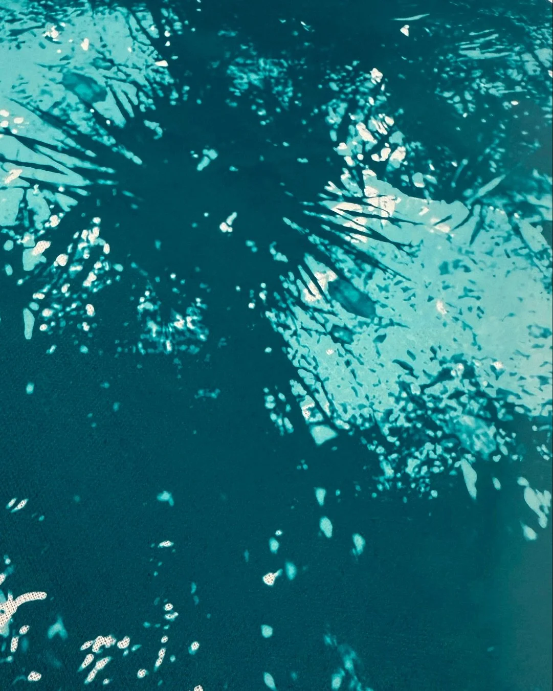 INTERFER&Ecirc;NCIAS 2025
@interferencias2025 

O Festival Interfer&ecirc;ncias &eacute; um ponto de encontro entre artistas emergentes e criadores consolidados.
Promovido pela Companhia Olga Roriz, o festival afirma-se como um gesto de apoio &agrave