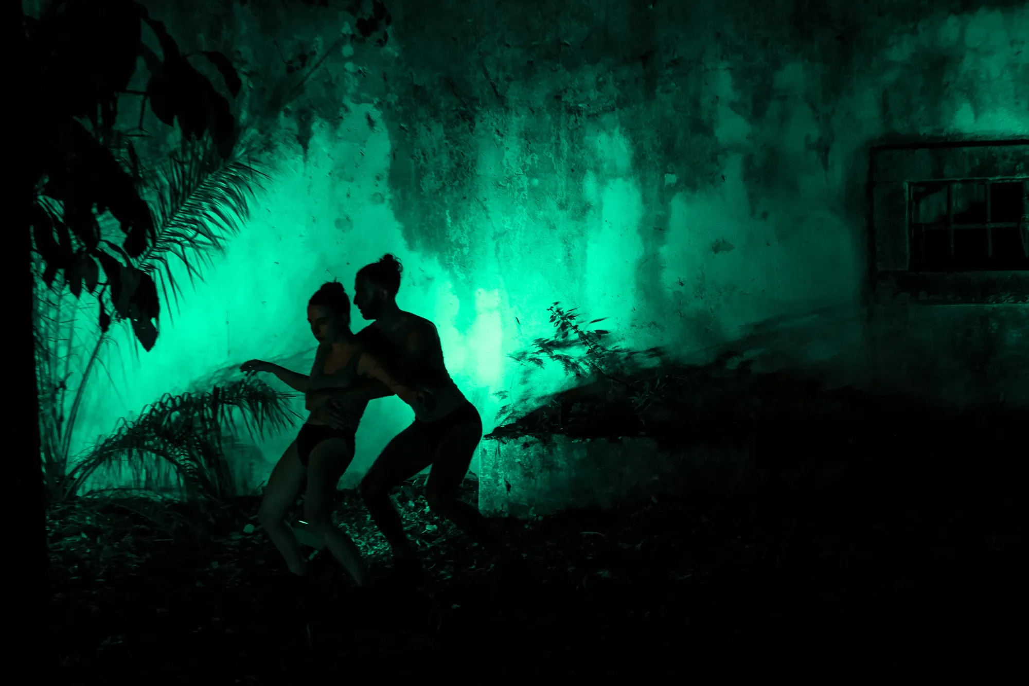 Duas pessoas dançando ao lado de plantas, com fundo iluminado em tom verde escuro.
