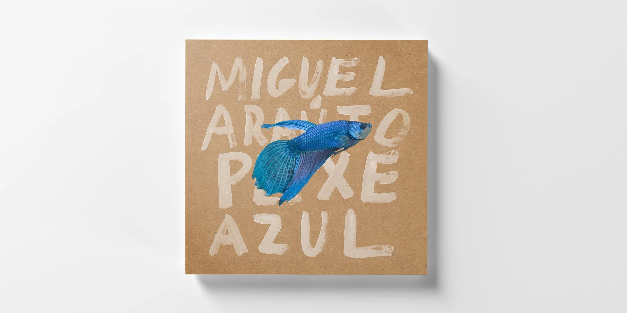 Cartaz com palavras em português e um peixe betta azul na frente