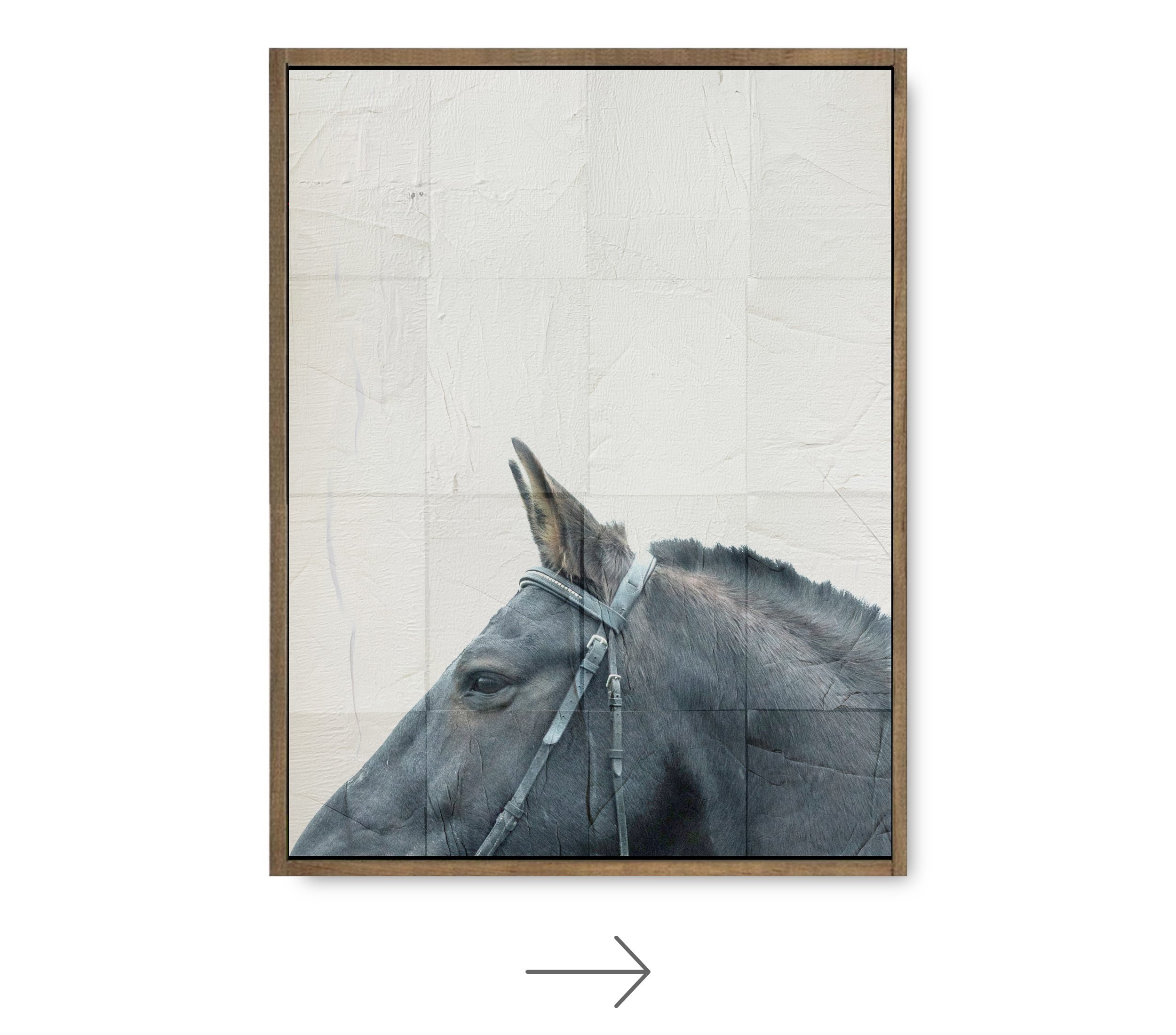 equestrian4site_A2.jpg