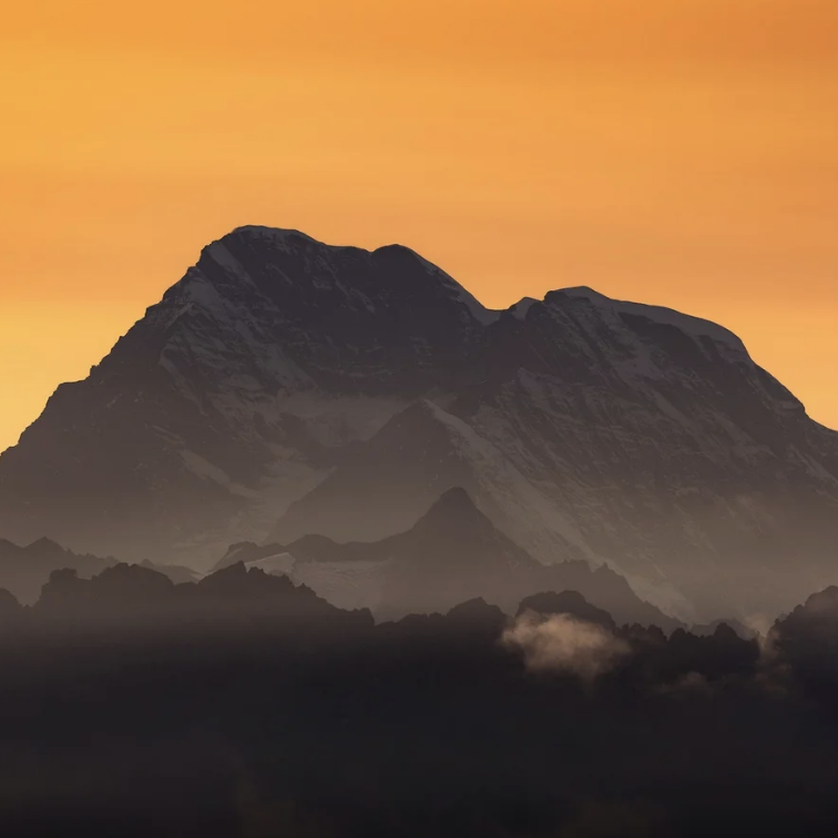 The Architect of Undergrowth