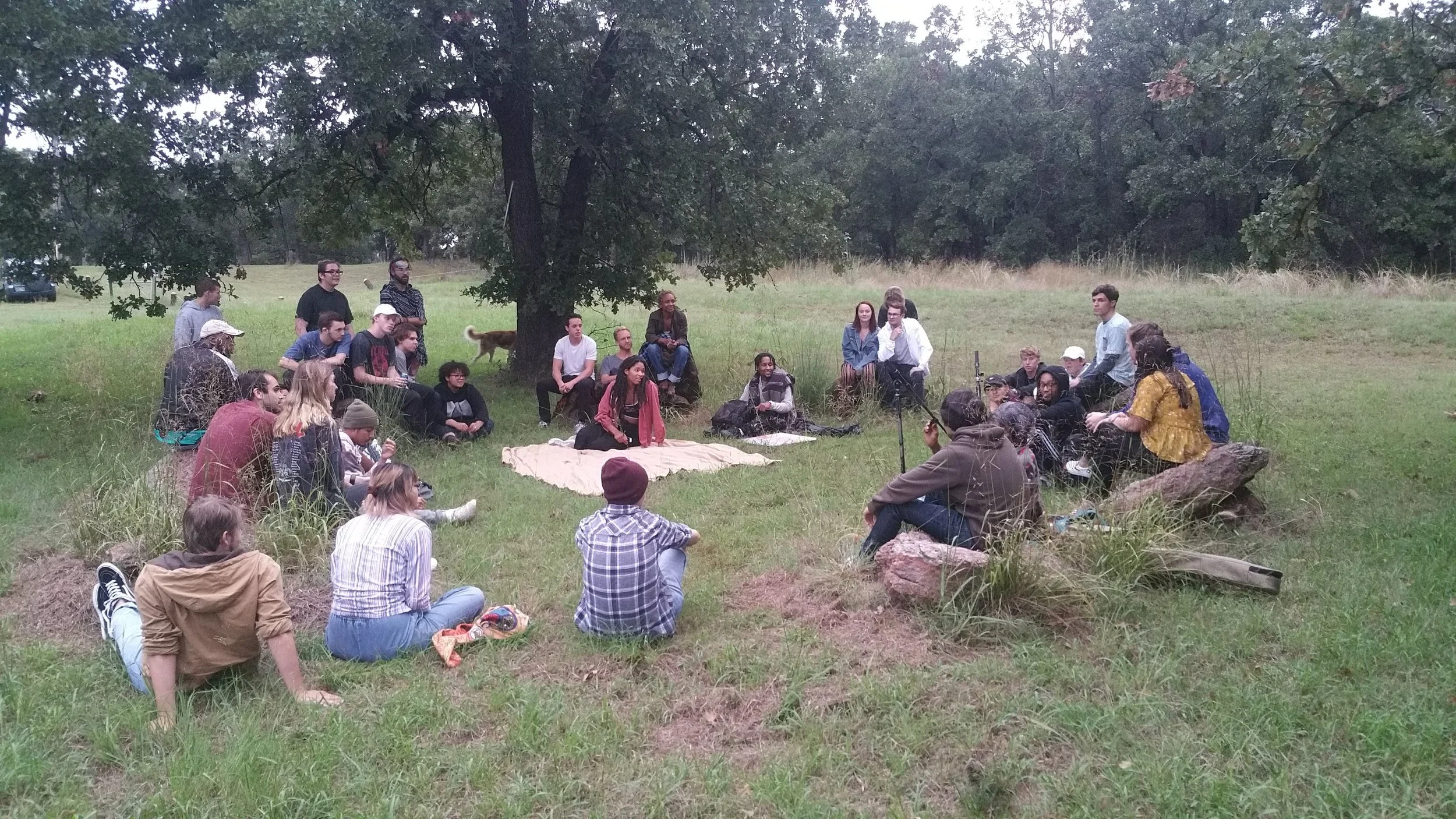 A group of people gathered outdoors on grassy field under a large tree, sitting on the ground and rocks, some on blankets, engaged in discussions or listening to a speaker.