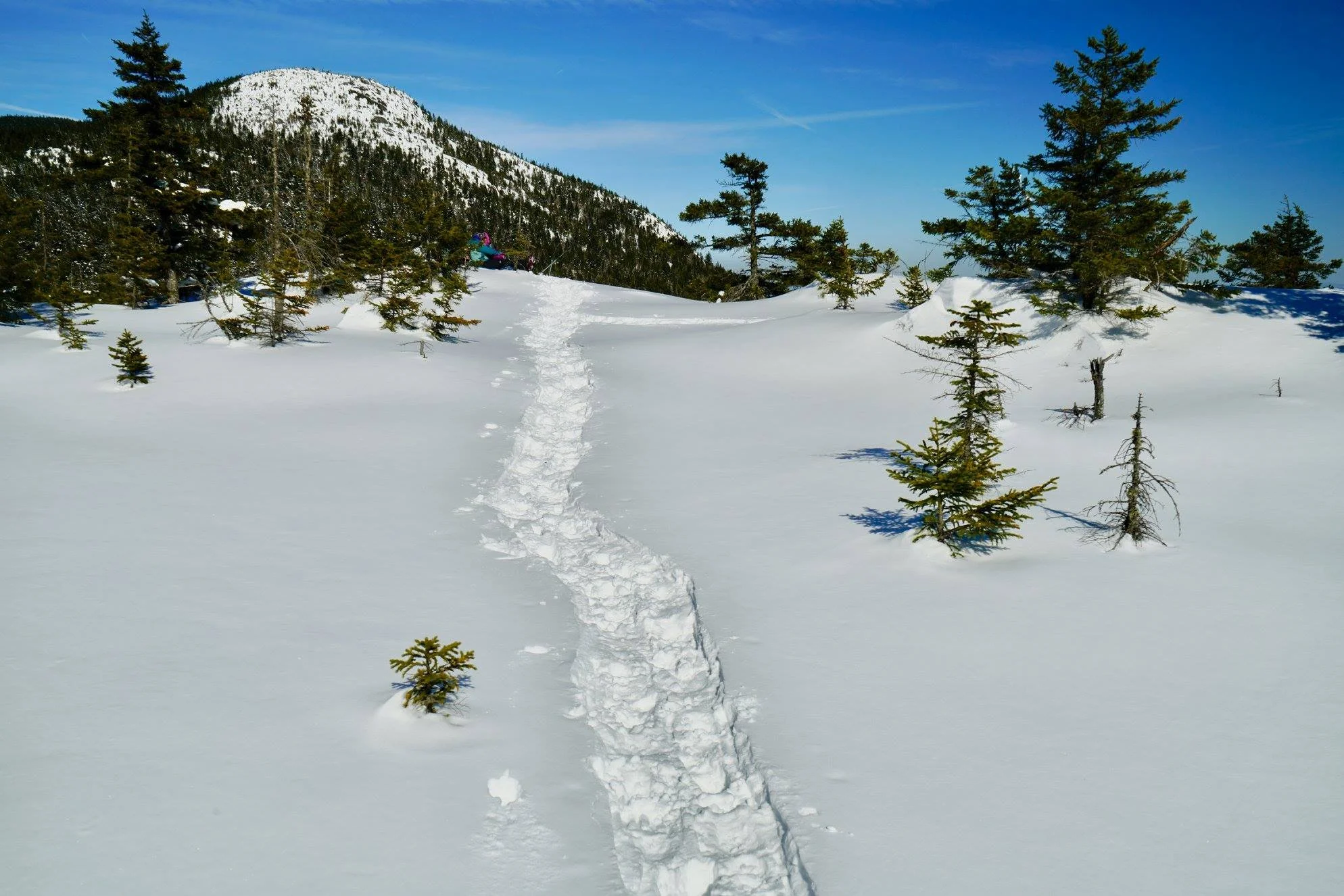 Putnam State Forest