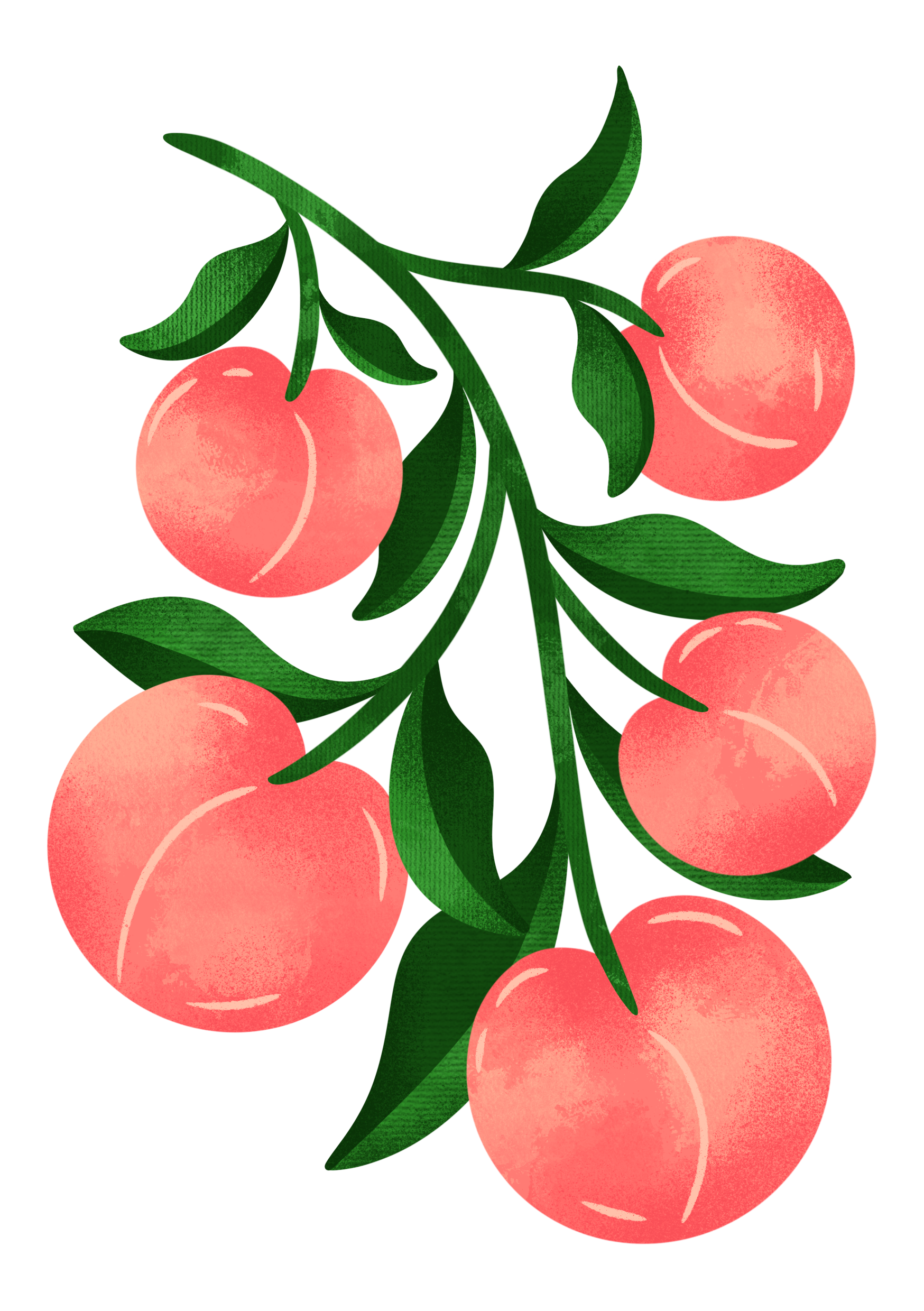 Peaches_For_Website_Final.png