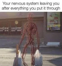 🌿 When the Body Lets Go: Understanding Nervous System Release After Trauma
