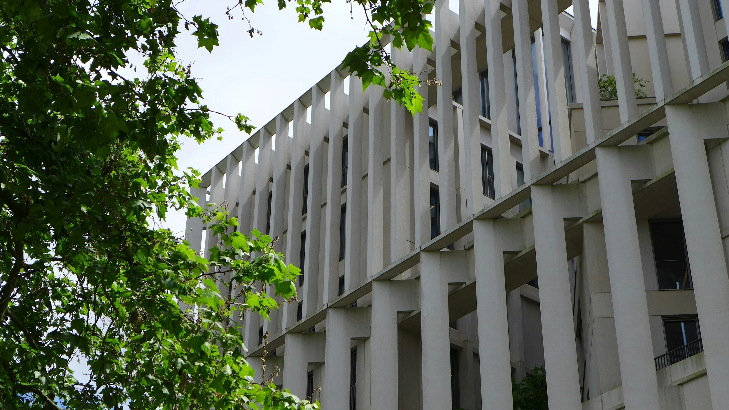 The Hypocrisy Trap at the London School of Economics