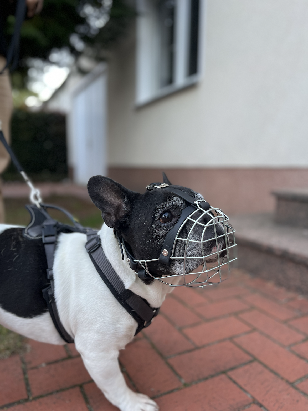 Screenshot 2025-10-04 at 20.52.31.png