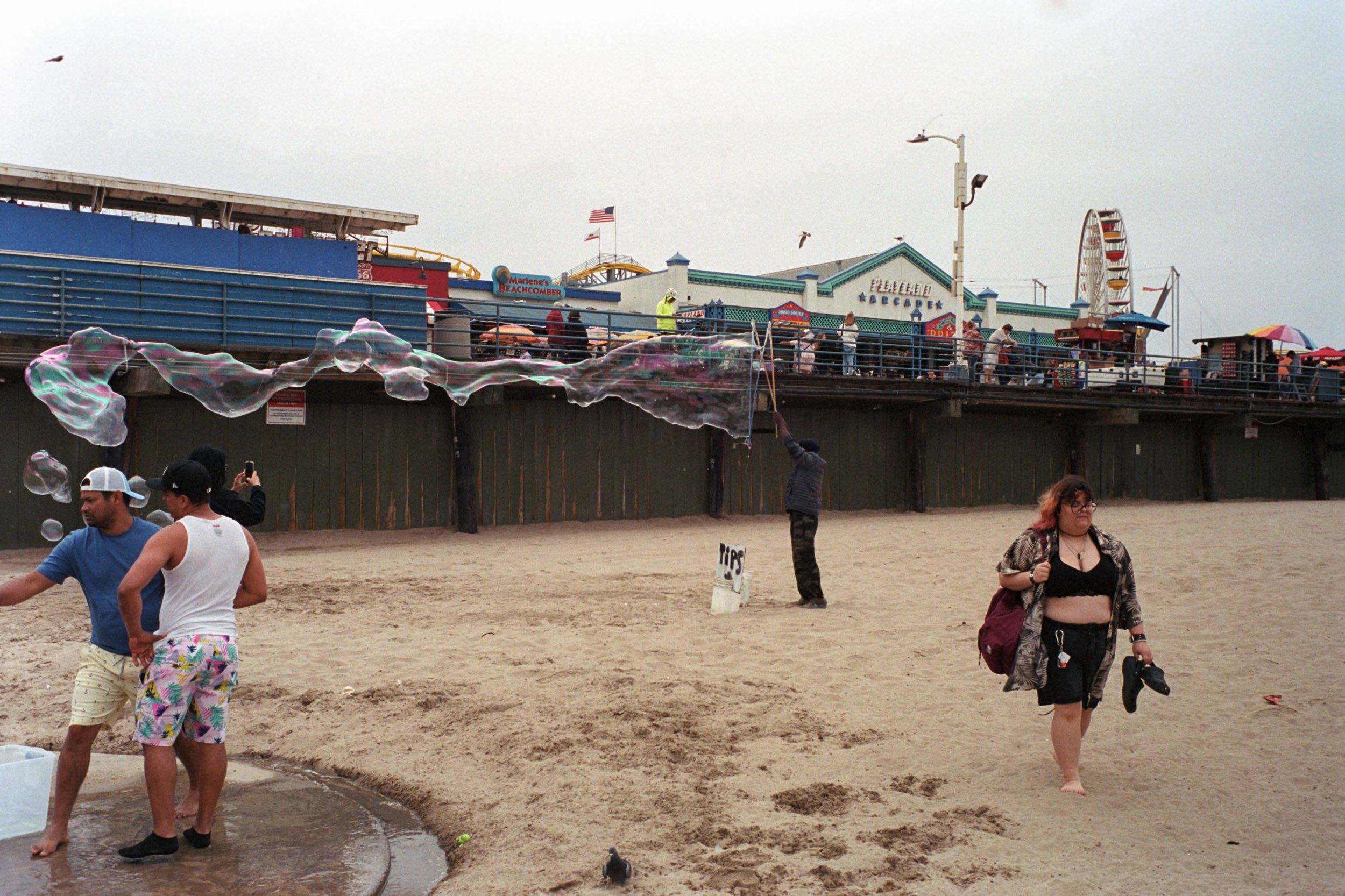 2024_06_M6_P4003.jpg