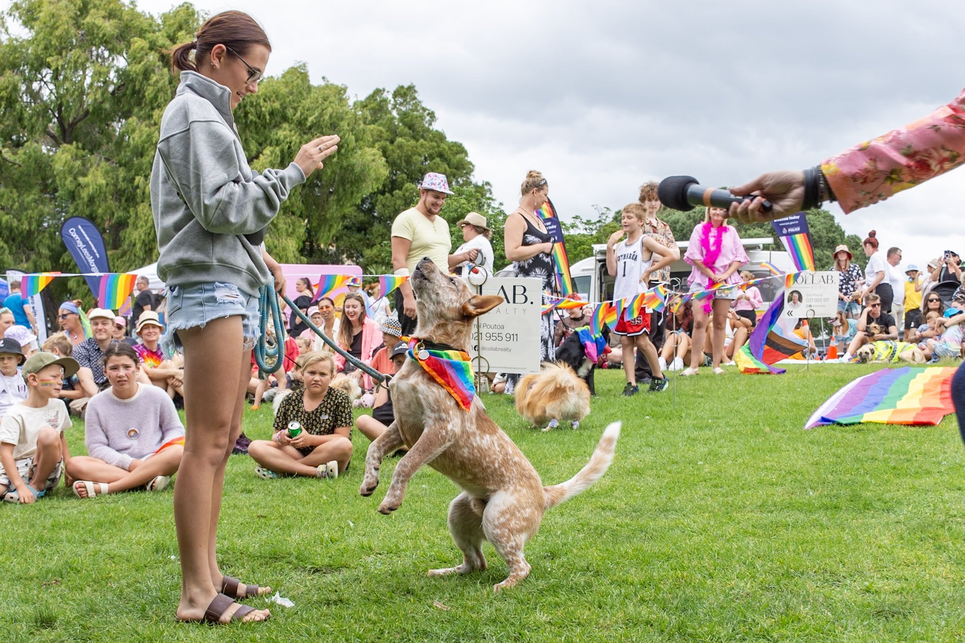 A young woman with glasses and a gray jacket interacts with a dog wearing a rainbow bandana at a pride event, with people sitting and standing on the grass, rainbow flags, and colorful decorations in the background.