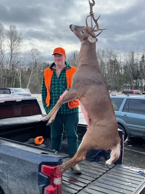 Deer 2025 4.jpeg