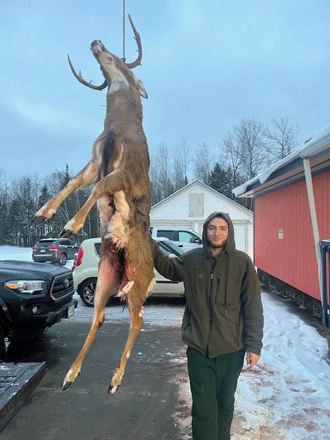 Deer 2025 7.jpeg