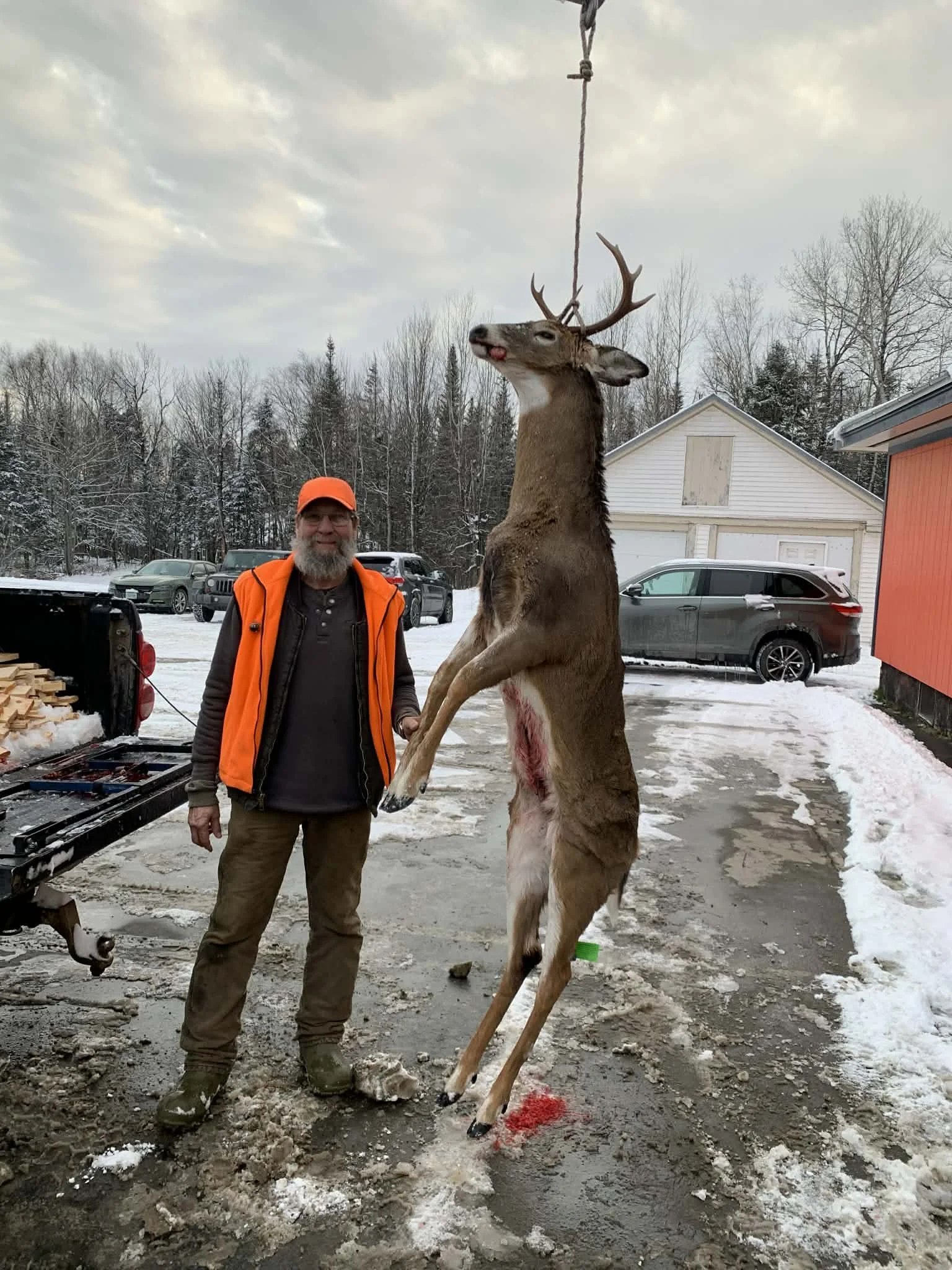 Deer 2025 18.JPG