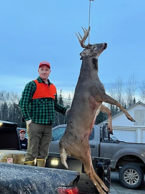 Deer 2025 2.jpeg