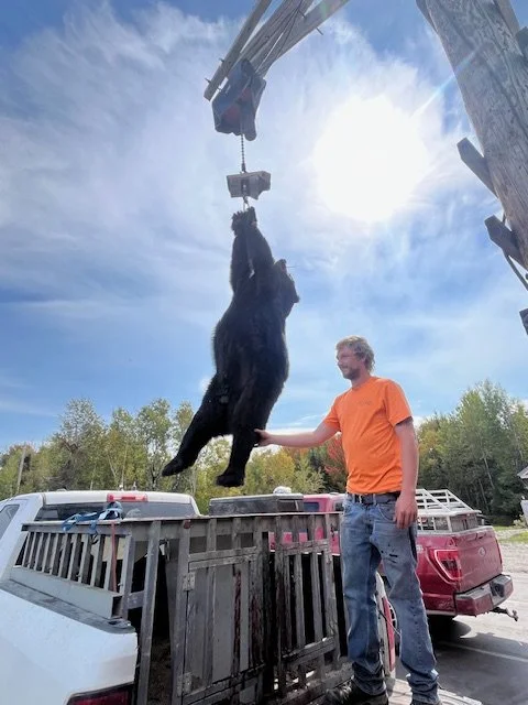 Bear 2025 2.jpeg