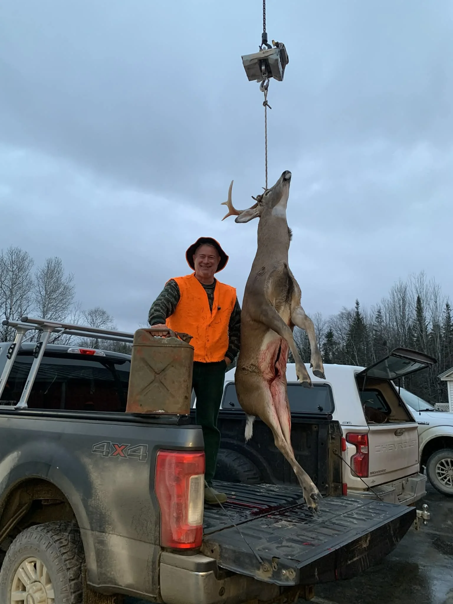 Deer 2025 5.JPG