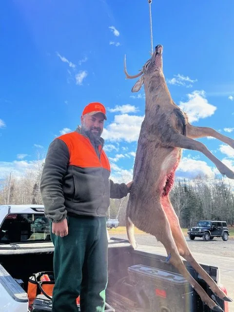 Deer 2025 3.jpeg