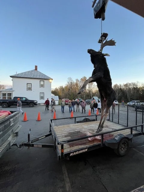 Moose 2025 2.jpeg