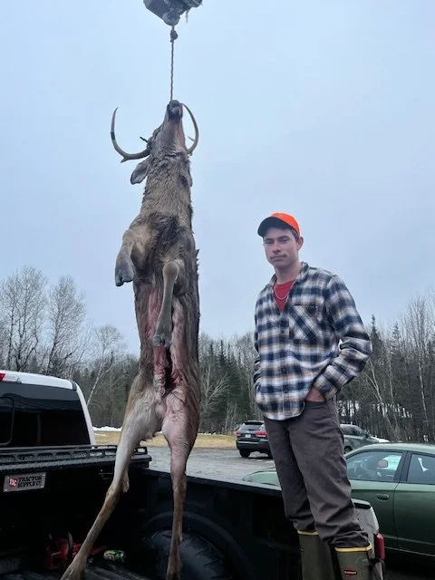 Deer 2025 16.jpeg