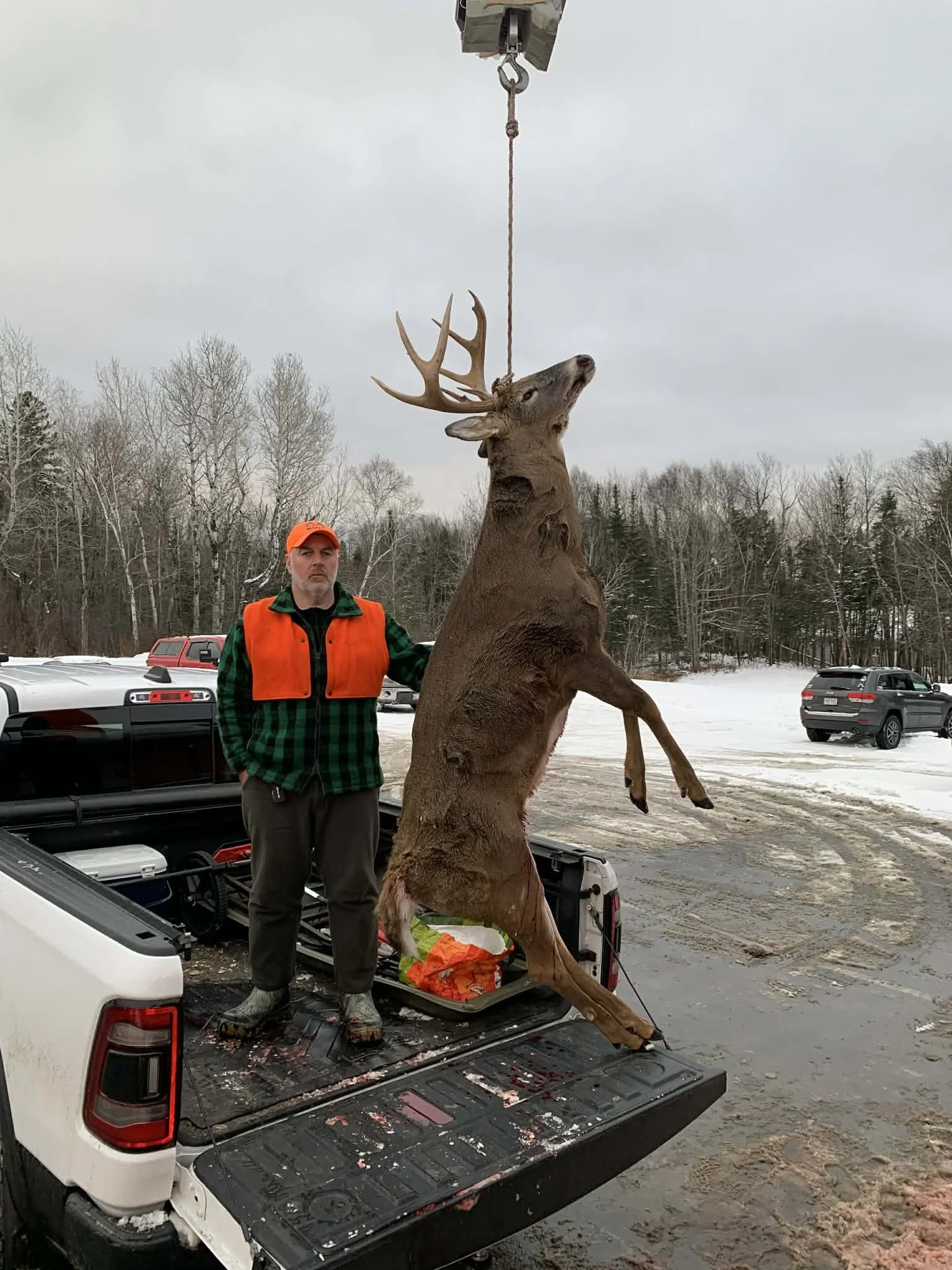 Deer 2025 14.JPG