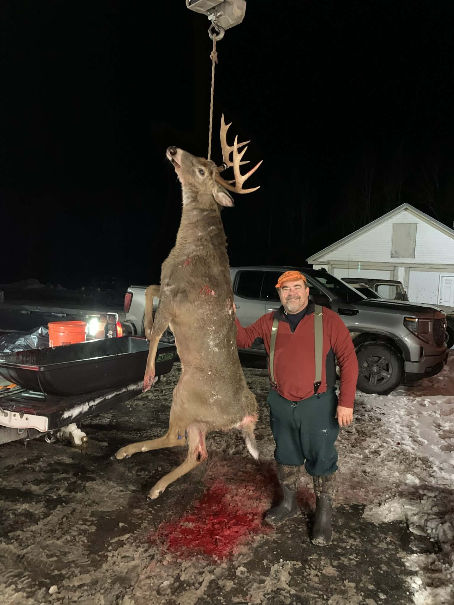 Deer 2025 21.JPG