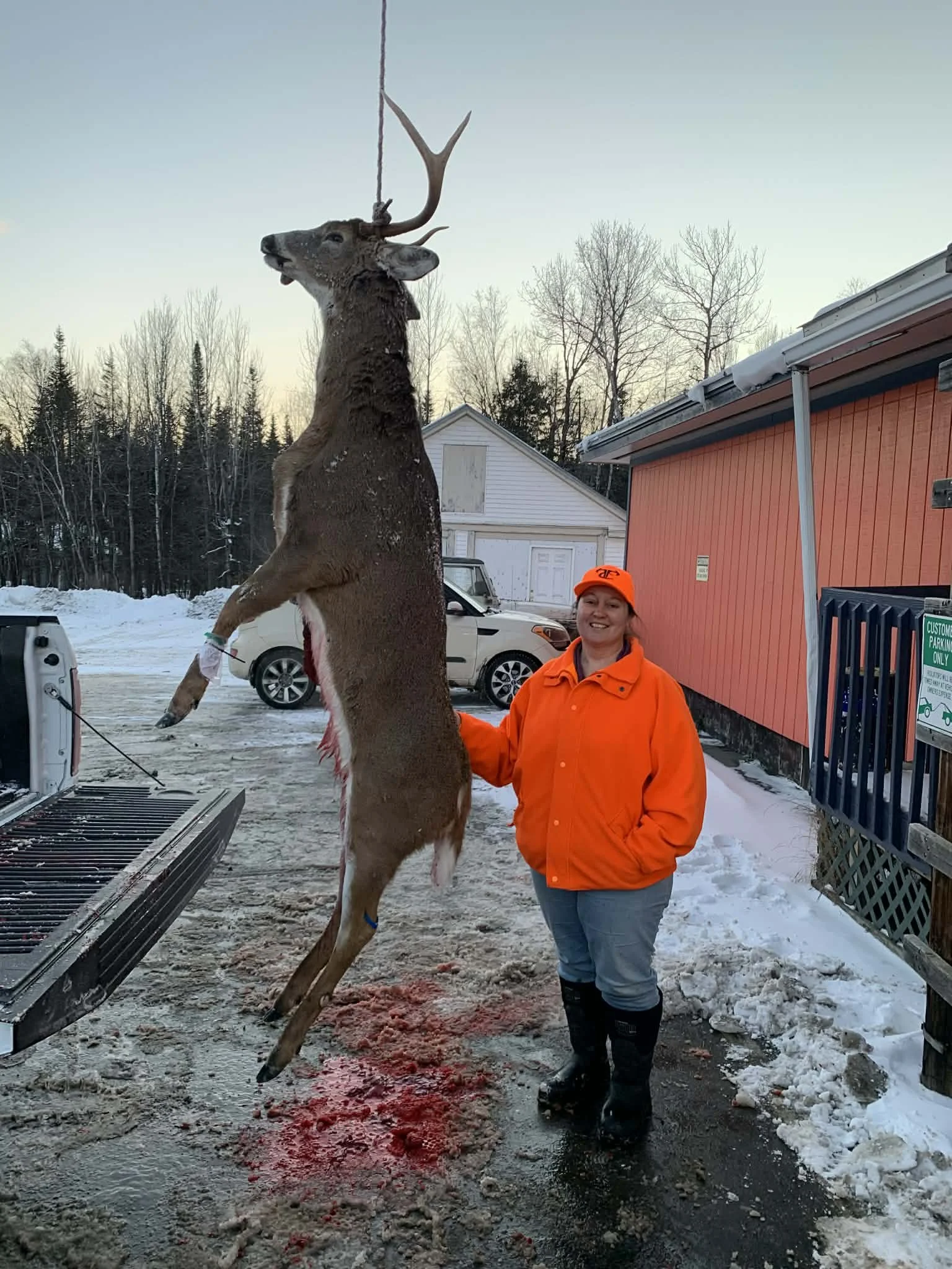 Deer 2025 19.JPG