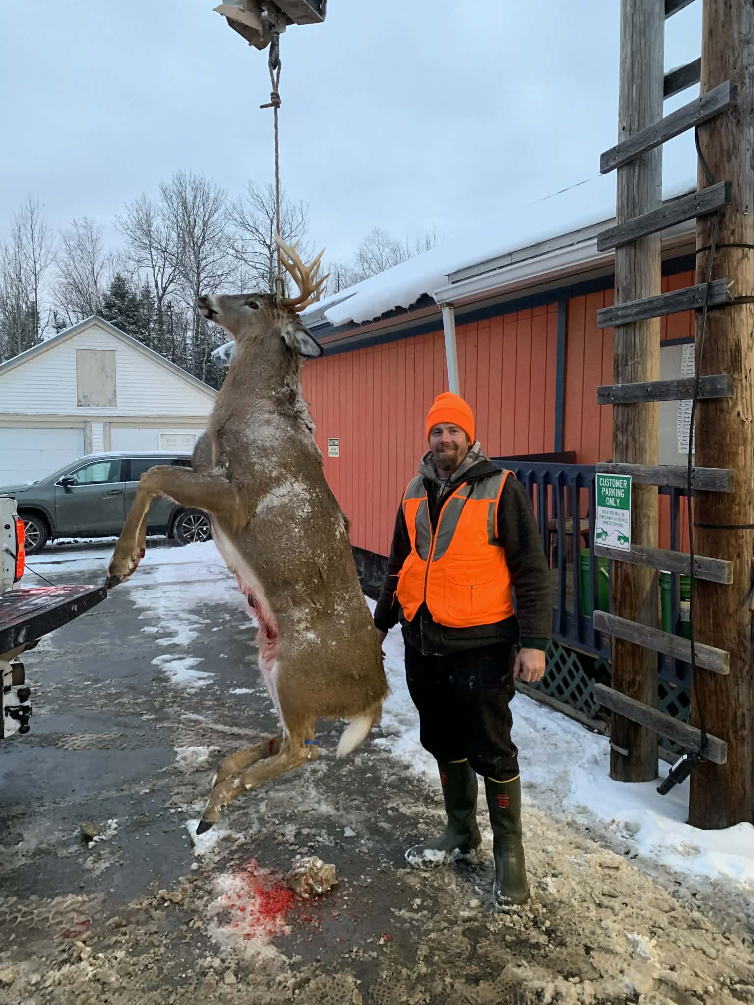 Deer 2025 20.JPG