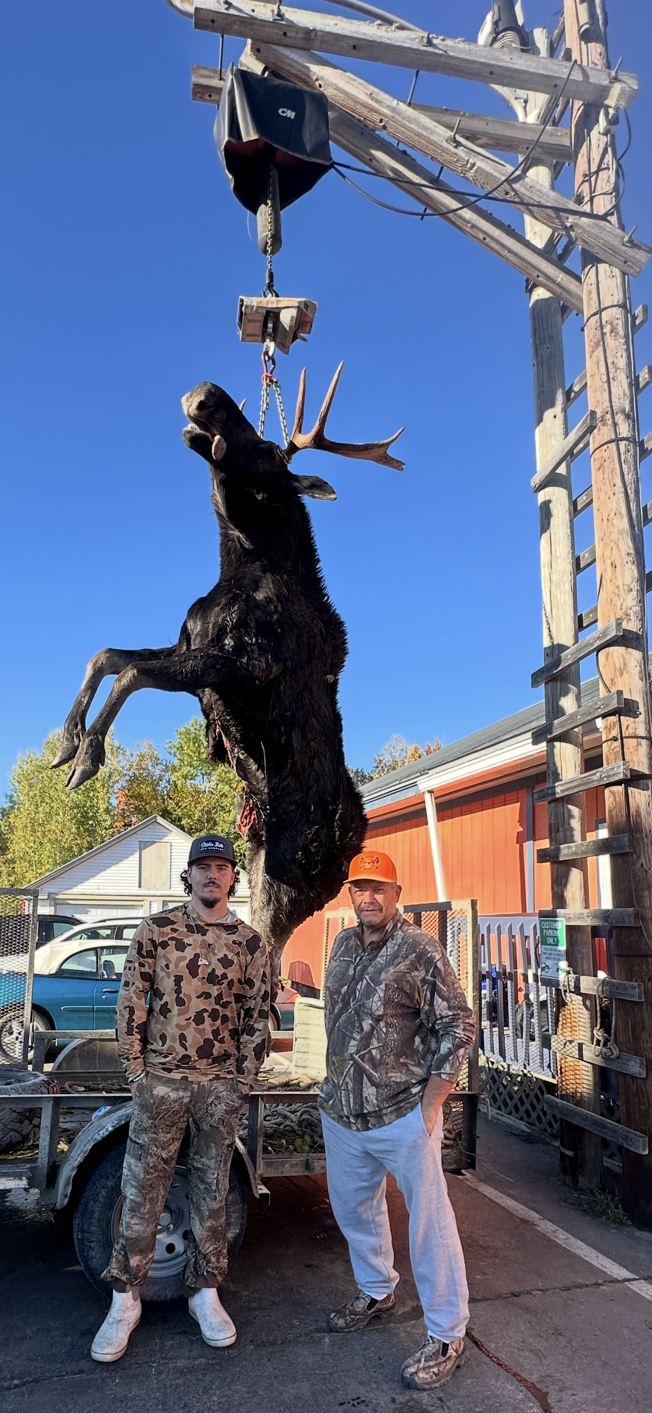 moose 25 k.png