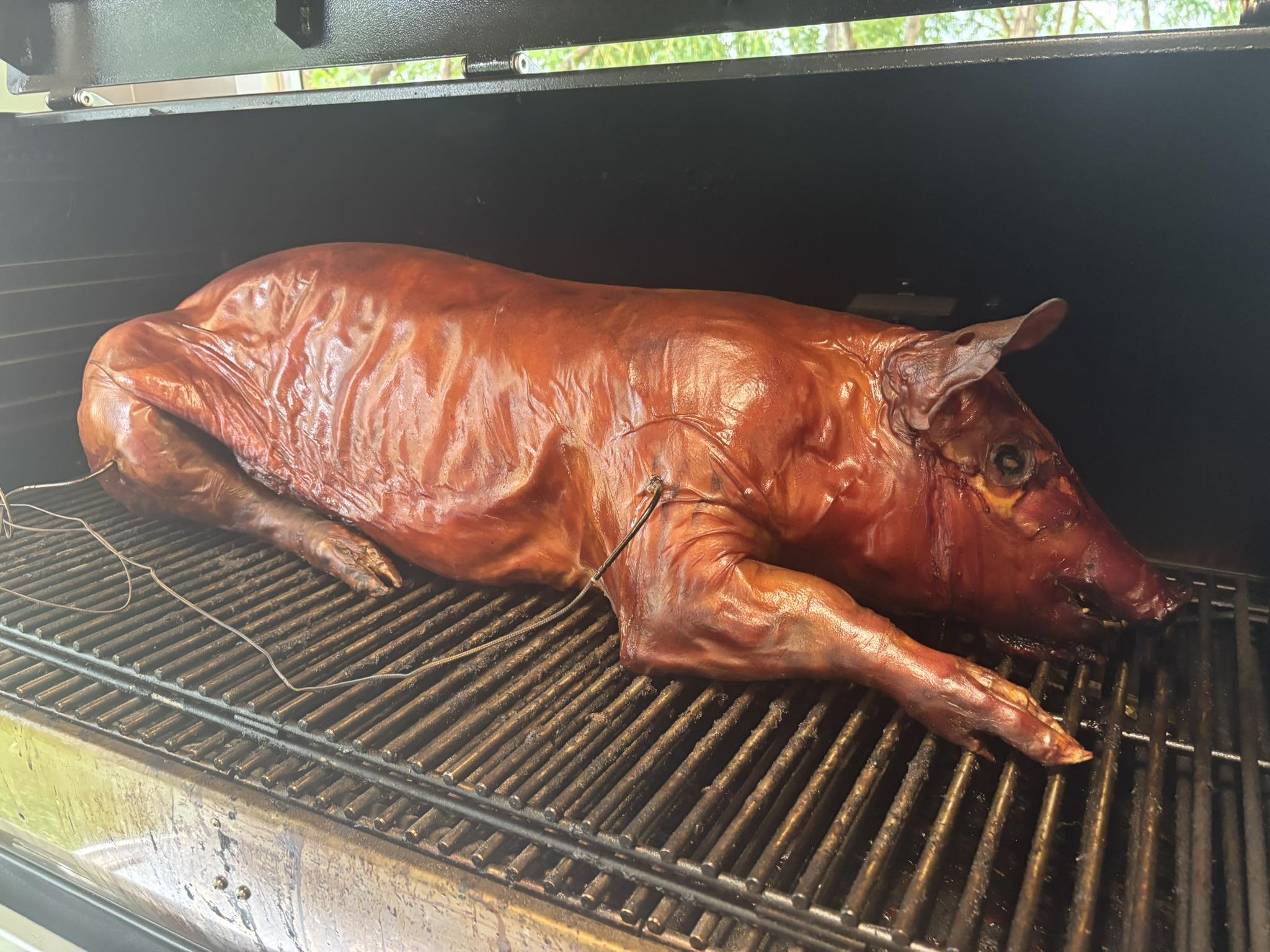 piggy.jpg