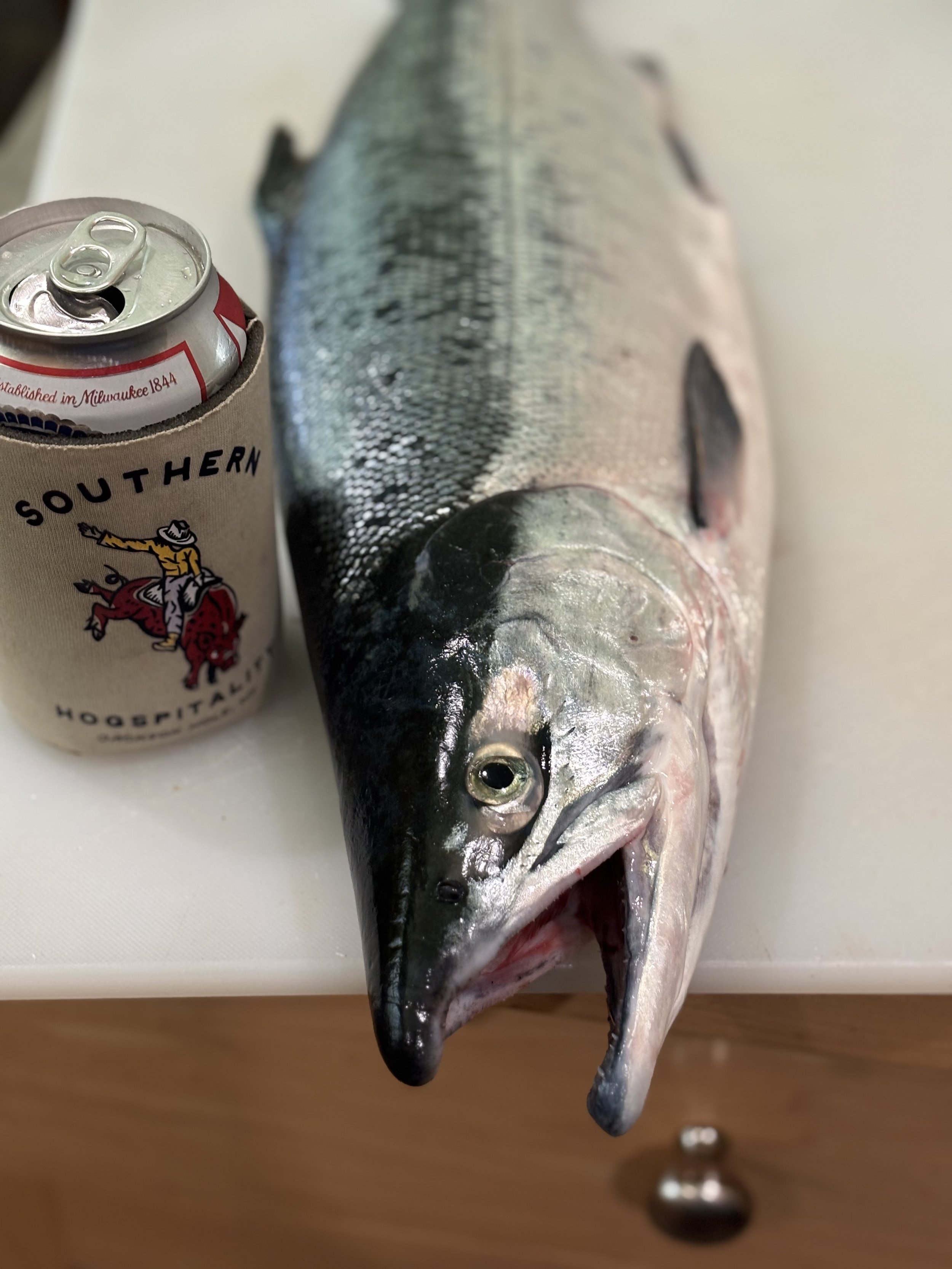 salmon1.jpeg