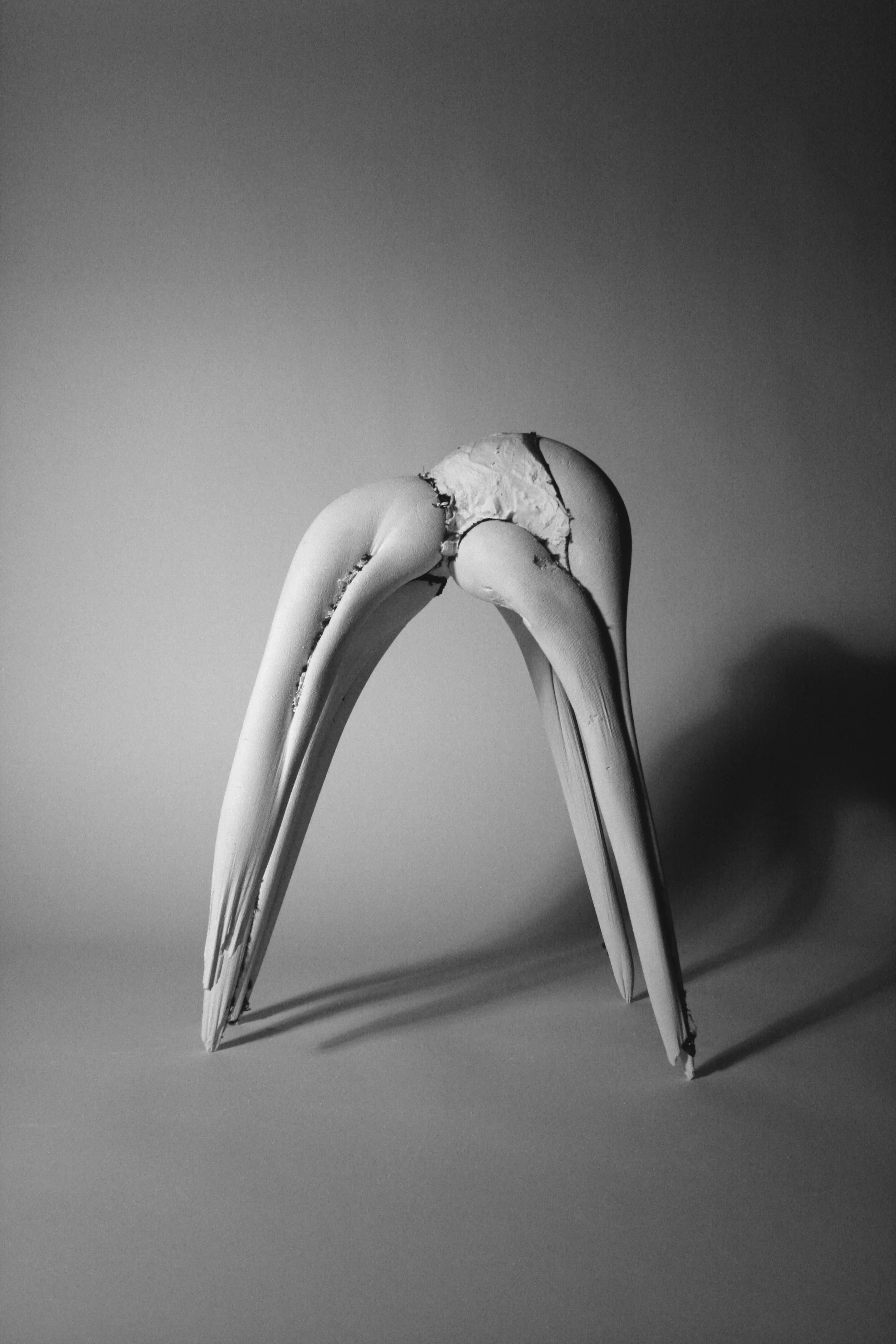 Curved sculptural form cast in plaster